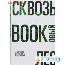 Сквозь Буковый лес. Александр Балыбердин