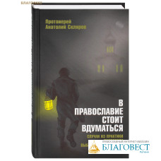 В Православие стоит вдуматься. Случаи из практики. Проповеди. Выборки из дневников. Протоиерей Анатолий Скляров