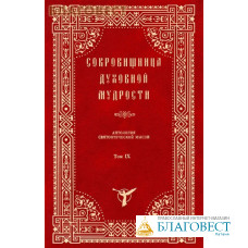 Сокровищница духовной мудрости. Антология святоотеческой мысли. Том IX