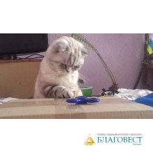 КТО И ЗАЧЕМ КРУТИТ СПИННЕР?