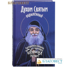 Духом Святым окрылённый. Преподобноисповедник и чудотворец Гавриил (Ургебадзе)