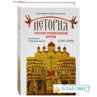 История Русской Православной Церкви. Синодальный и Новейший периоды 1700-2024. Протоиерей Владислав Цыпин