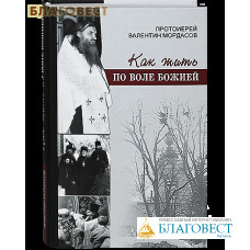 Как жить по воле Божией. Протоиерей Валентин Мордасов