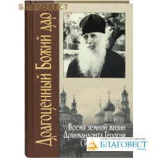 Драгоценный Божий дар. Время земной жизни Архимандрита Георгия (Тертышникова)