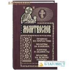 Молитвослов. Правило ко Причастию. Молитвы за ближних. Каноны и акафисты. Молитвы на всякую потребу. Русский шрифт