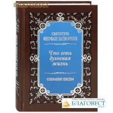 Что есть духовная жизнь и как на нее настроиться? Собрание писем. Святитель Феофан Затворник