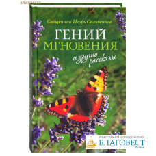 Гений мгновения и другие рассказы. Священник Игорь Сильченков Гений мгновения и другие рассказы. Священник Игорь Сильченков