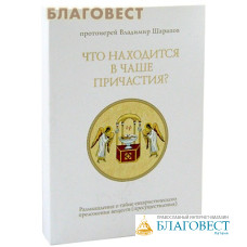 Что находится в Чаше Причастия? Протоиерей Владимир Шарапов